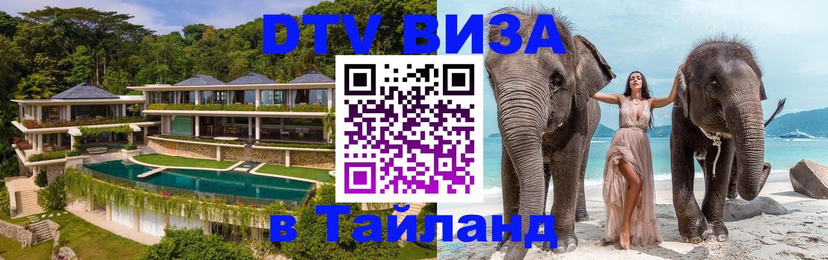 Оформление DTV визы под ключ: стоимость и тарифы, только загранпаспорт - Димитровград  05.10.2025 